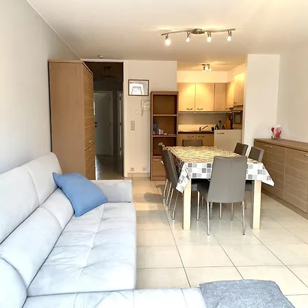 Spacious With Sun-facing Terrace Apartament *