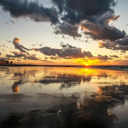 Spacious With Sun-facing Terrace *