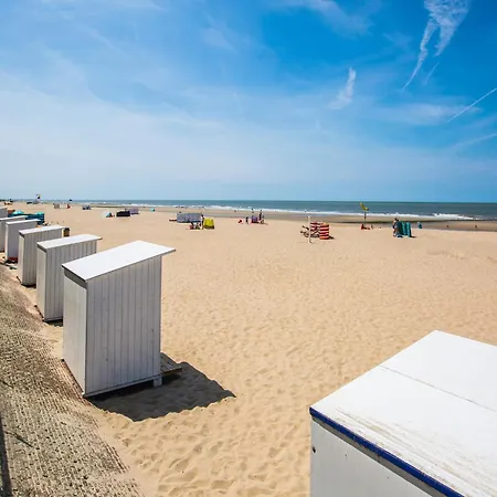 Spacious With Sun-facing Terrace Apartament *