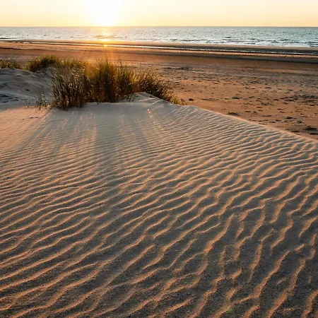 Spacious With Sun-facing Terrace Apartman Middelkerke